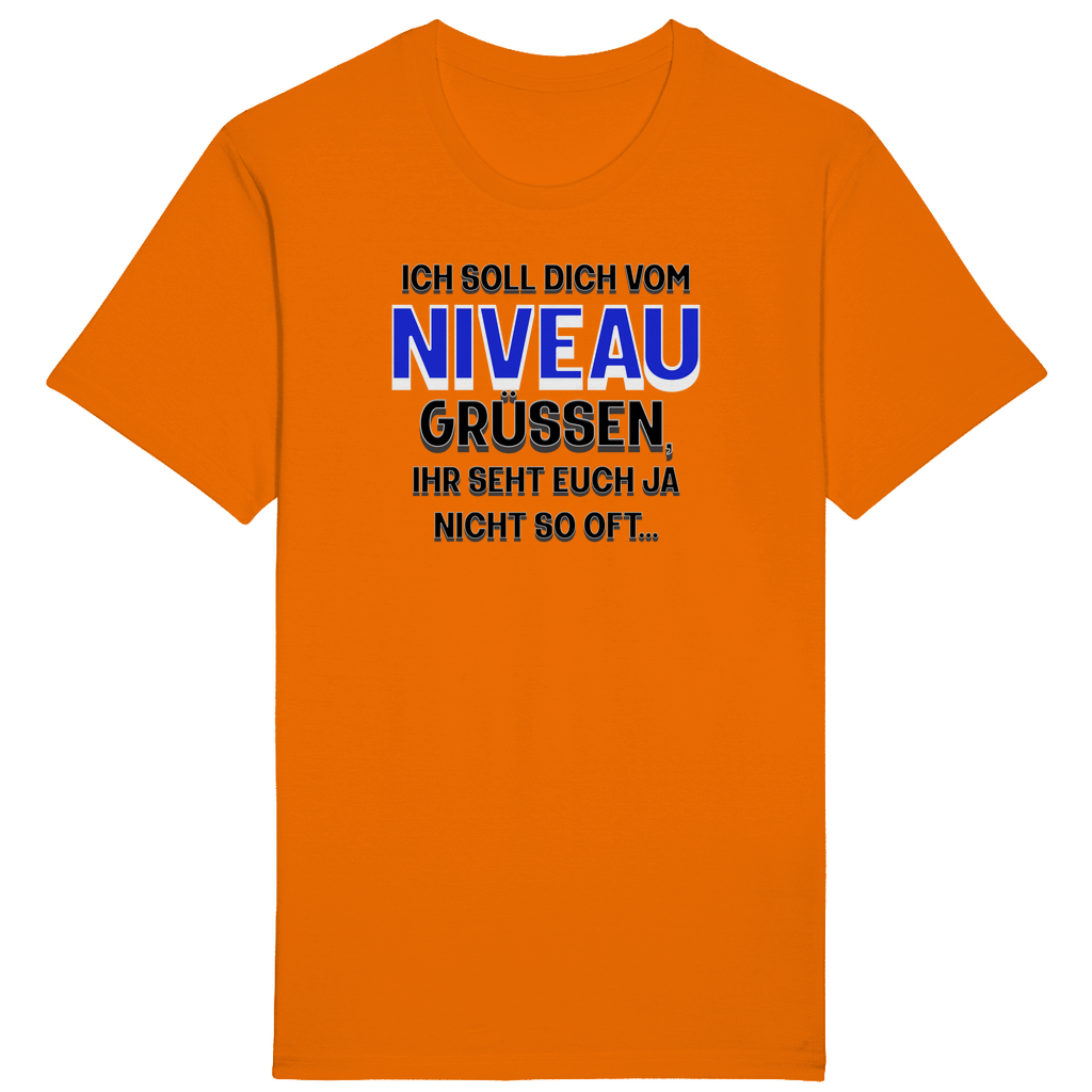 Oranges T-Shirt mit einem humorvollen Aufdruck: „Ich soll dich vom Niveau grüßen, ihr seht euch ja nicht so oft…“ Der Spruch ist in unterschiedlichen Schriftgrößen und -farben gestaltet, wobei das Wort „Niveau“ in auffälligem Blau hervorgehoben ist. Ein augenzwinkerndes Design für alle, die gern mit Witz und Charme punkten!