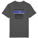 Graues T-Shirt mit einem humorvollen Aufdruck: „Ich soll dich vom Niveau grüßen, ihr seht euch ja nicht so oft…“ Der Spruch ist in unterschiedlichen Schriftgrößen und -farben gestaltet, wobei das Wort „Niveau“ in auffälligem Blau hervorgehoben ist. Ein augenzwinkerndes Design für alle, die gern mit Witz und Charme punkten!