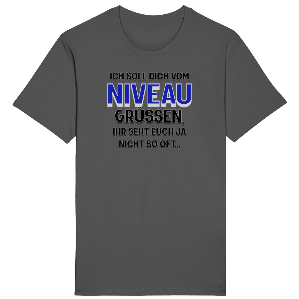 Graues T-Shirt mit einem humorvollen Aufdruck: „Ich soll dich vom Niveau grüßen, ihr seht euch ja nicht so oft…“ Der Spruch ist in unterschiedlichen Schriftgrößen und -farben gestaltet, wobei das Wort „Niveau“ in auffälligem Blau hervorgehoben ist. Ein augenzwinkerndes Design für alle, die gern mit Witz und Charme punkten!