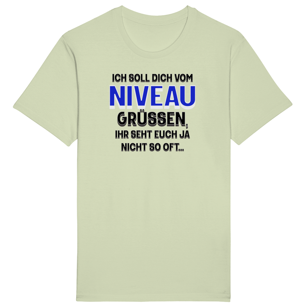 Hellgrünes T-Shirt mit einem humorvollen Aufdruck: „Ich soll dich vom Niveau grüßen, ihr seht euch ja nicht so oft…“ Der Spruch ist in unterschiedlichen Schriftgrößen und -farben gestaltet, wobei das Wort „Niveau“ in auffälligem Blau hervorgehoben ist. Ein augenzwinkerndes Design für alle, die gern mit Witz und Charme punkten!